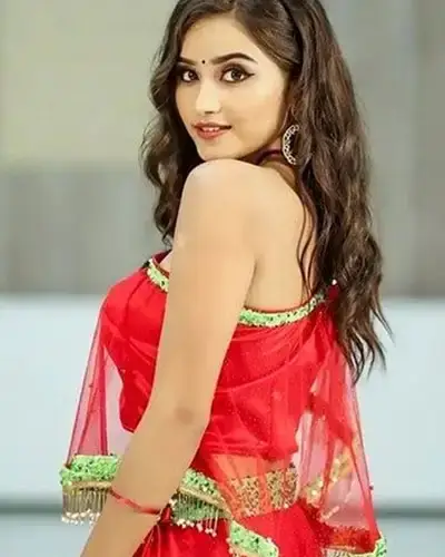 Call Girls Service Alangudi