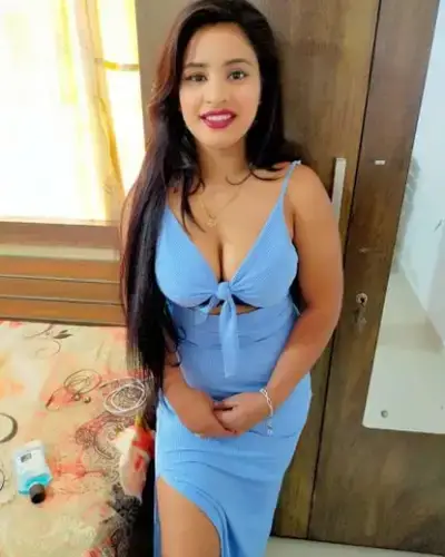 Alangudi Escorts